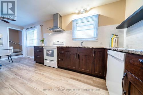 29 Elm Ridge Drive, St. Catharines (461 - Glendale/Glenridge), ON - Indoor Photo Showing Kitchen With Double Sink