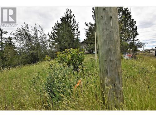 power at the lot line - 383 Lakewood Road, Vernon, BC 