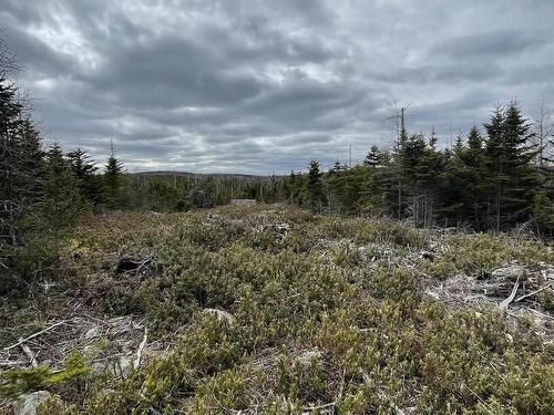 143 19 Lipkudamoonk Path, Clam Bay, NS 