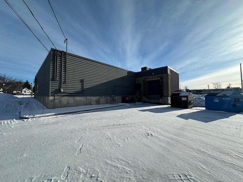 Back facade - 778Z Av. Taniata, Lévis (Les Chutes-De-La-Chaudière-Est), QC - Outdoor