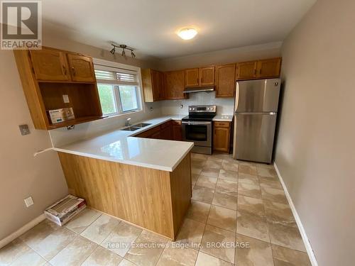 Main - 177 Inkerman Street, Guelph (Central West), ON - Indoor Photo Showing Kitchen With Double Sink