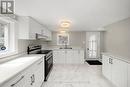 45 Mountain Street, Grimsby, ON  - Indoor Photo Showing Kitchen With Double Sink 