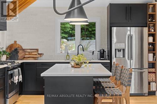 1213 Norcan Lake Lane, North Frontenac (Frontenac North), ON - Indoor Photo Showing Kitchen