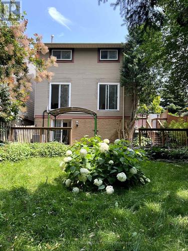 Bsmt - 6 Wiles Court, Aurora, ON - Outdoor