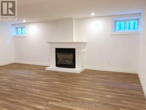 Bsmt - 25 Terrace Drive, Hamilton, ON - Indoor With Fireplace