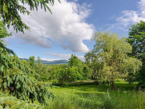 ExtÃ©rieur - 153 Ch. Asa-Frary, Sutton, QC - Outdoor With View