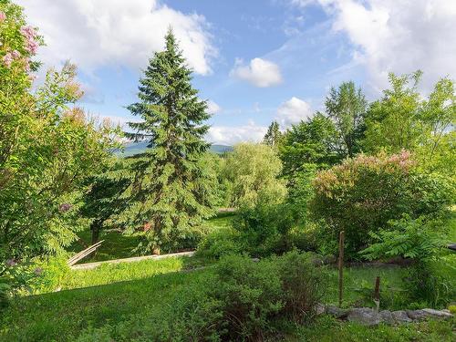 ExtÃ©rieur - 153 Ch. Asa-Frary, Sutton, QC - Outdoor With View