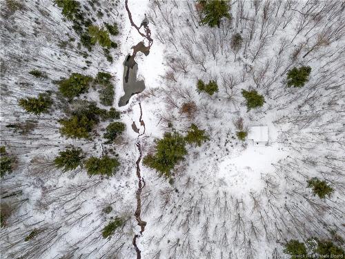 Lot, Camp Fisher Hill Rd, Bouctouche, NB 