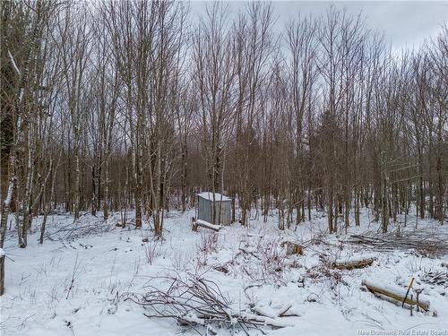 Lot, Camp Fisher Hill Rd, Bouctouche, NB 