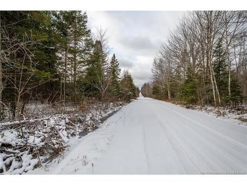 Lot, Camp Fisher Hill Rd, Bouctouche, NB 