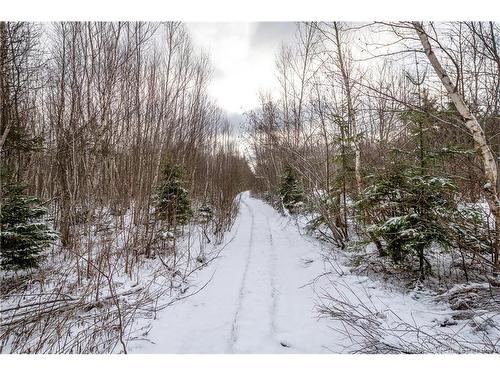 Lot, Camp Fisher Hill Rd, Bouctouche, NB 