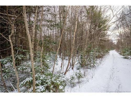 Lot, Camp Fisher Hill Rd, Bouctouche, NB 