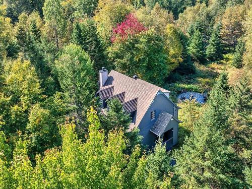 Vue d'ensemble - 181 Ch. De La Paroi, Mont-Tremblant, QC - Outdoor