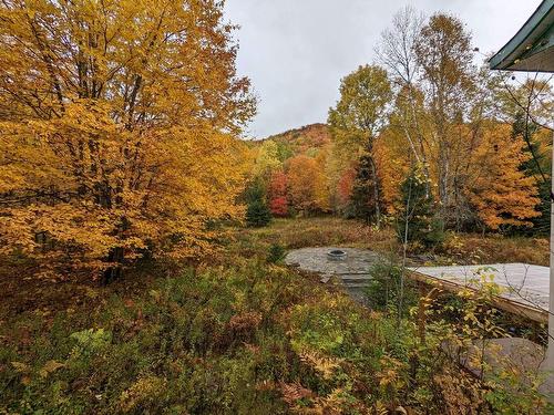 Cour - 181 Ch. De La Paroi, Mont-Tremblant, QC - Outdoor With View