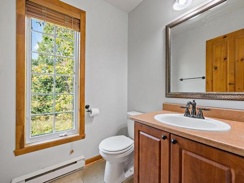 Salle d'eau - 181 Ch. De La Paroi, Mont-Tremblant, QC - Indoor Photo Showing Bathroom