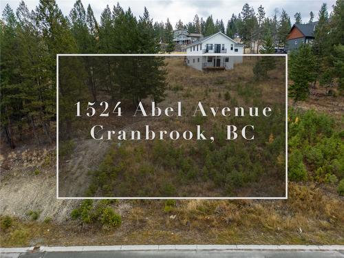 1524 Abel Avenue, Cranbrook, BC - Outdoor With View