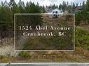 1524 Abel Avenue, Cranbrook, BC  - Outdoor With View 