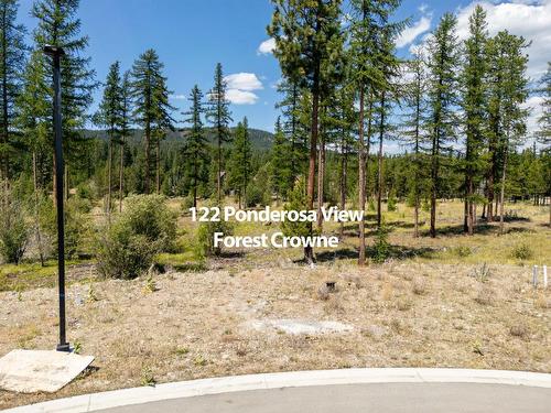 122 Ponderosa View, Kimberley, BC - Outdoor With View