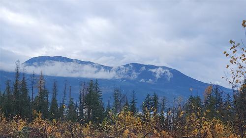 Lot A 23 Highway, Nakusp, BC 