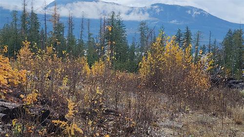 Lot A 23 Highway, Nakusp, BC 