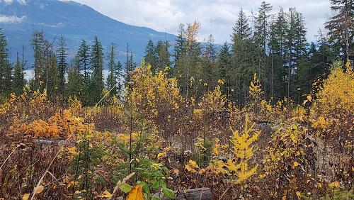 Lot A 23 Highway, Nakusp, BC 