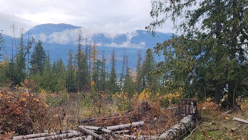 Lot A 23 Highway, Nakusp, BC 