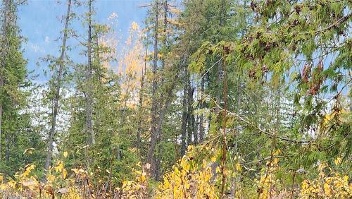 Lot A 23 Highway, Nakusp, BC 