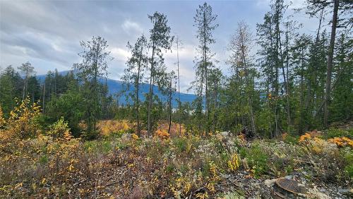 Lot A 23 Highway, Nakusp, BC 