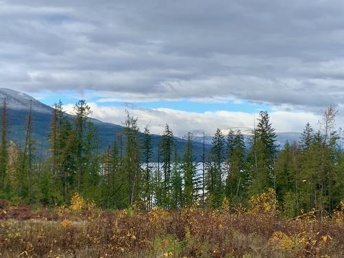 Lot A 23 Highway, Nakusp, BC 