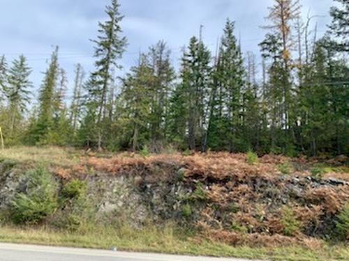 Lot A 23 Highway, Nakusp, BC 