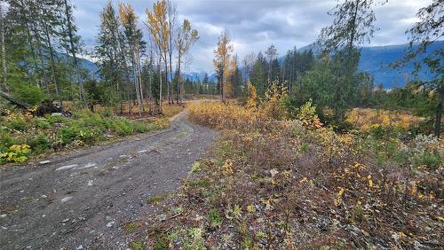 Lot A 23 Highway, Nakusp, BC 