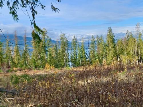 Lot A 23 Highway, Nakusp, BC 