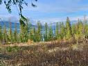 Lot A 23 Highway, Nakusp, BC 