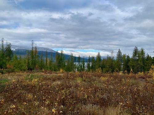 Lot A 23 Highway, Nakusp, BC 