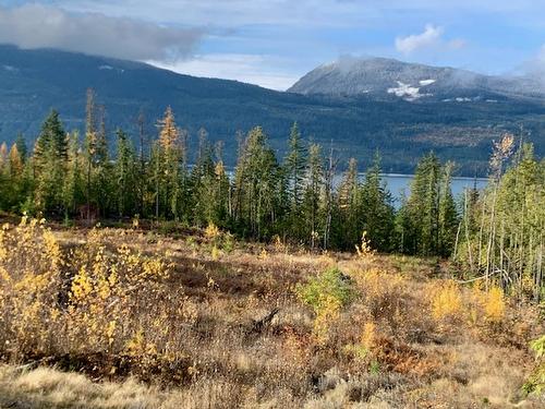 Lot A 23 Highway, Nakusp, BC 