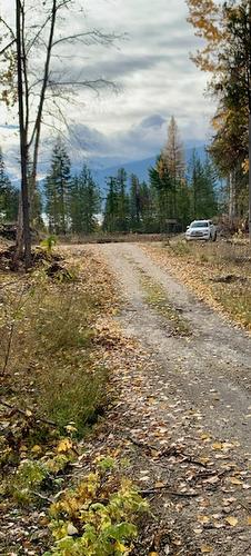 Lot A 23 Highway, Nakusp, BC 