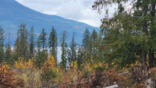 Lot A 23 Highway, Nakusp, BC 