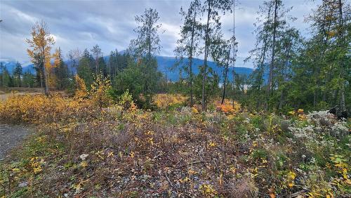 Lot A 23 Highway, Nakusp, BC 