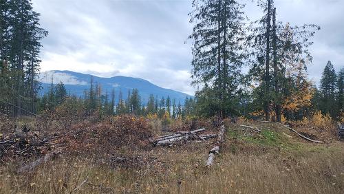 Lot A 23 Highway, Nakusp, BC 