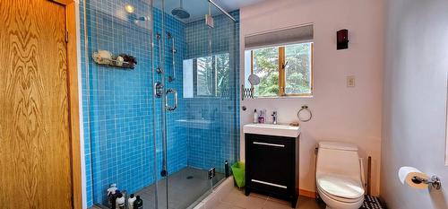 3560 Island Pond Road, Skookumchuck, BC - Indoor Photo Showing Bathroom