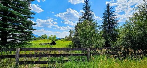 3560 Island Pond Road, Skookumchuck, BC - Outdoor With View