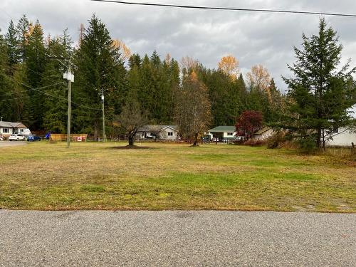 515 4Th Avenue, Nakusp, BC - Outdoor