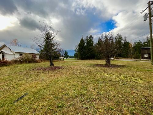 515 4Th Avenue, Nakusp, BC - Outdoor