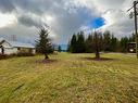 515 4Th Avenue, Nakusp, BC  - Outdoor 