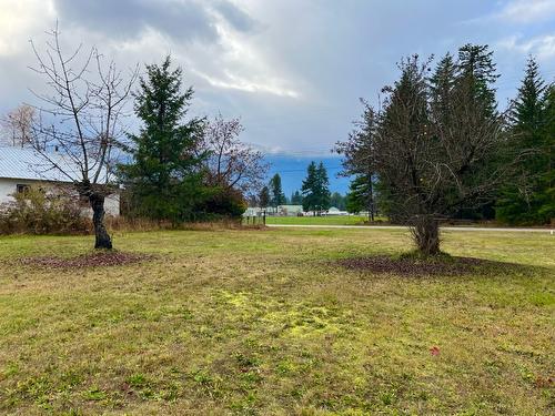 515 4Th Avenue, Nakusp, BC - Outdoor