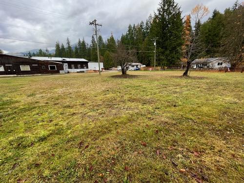 515 4Th Avenue, Nakusp, BC - Outdoor