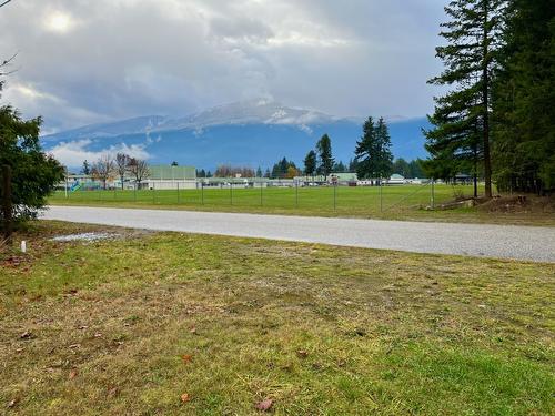 515 4Th Avenue, Nakusp, BC - Outdoor With View