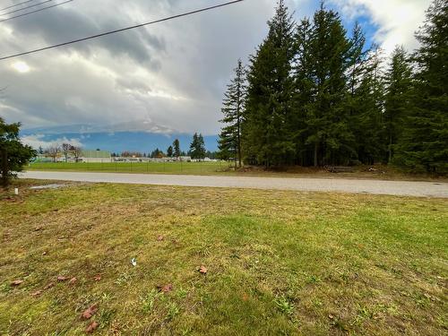 515 4Th Avenue, Nakusp, BC - Outdoor With View