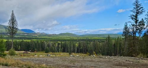 1796 Meadowbrook Settlement Road, Kimberley, BC - Outdoor With View