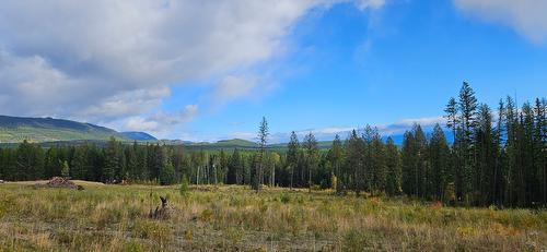 1796 Meadowbrook Settlement Road, Kimberley, BC - Outdoor With View